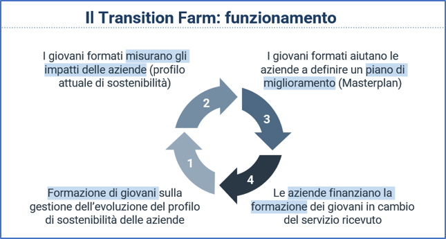 grafico Progetto Transition farm